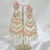 Mahnoor Drop Earrings - Dastaan the Label